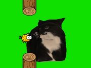 Jwèt Flappy zwazo k ap vire oia oia chat  sou entènèt