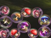 Jwèt Mergemushrooms: 2048! sou entènèt