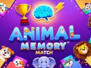Jwèt Animal memwa matche ak  sou entènèt