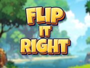 Jwèt Flip li dwat  sou entènèt