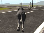 Jwèt Crazy Bull City  sou entènèt