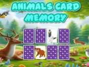 Jwèt Kat Animal memwa sou entènèt