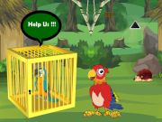 Jwèt Lage kwense Macaw Buddy sou entènèt