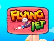 Jwèt Vole Jet sou entènèt