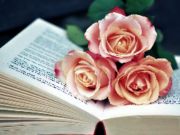 Jwèt Liv nan florèd tèt sou entènèt