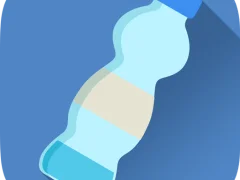 Jwèt Bottle Flip Challenge sou entènèt