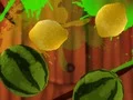 Jwèt Fruit Break sou entènèt