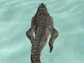 Jwèt Crocodile Simulator Beach Hunt sou entènèt
