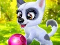Jwèt Happy Dog sou entènèt