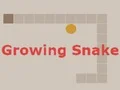 Jwèt Growing Snake sou entènèt