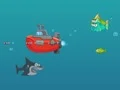 Jwèt Shark Dash sou entènèt