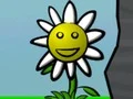Jwèt Flower Power sou entènèt