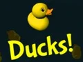 Jwèt Ducks! sou entènèt