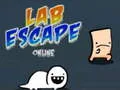 Jwèt Lab Escape Online sou entènèt
