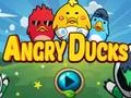 Jwèt Angry Ducks sou entènèt
