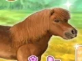 Jwèt My Dear Pony sou entènèt