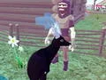 Jwèt Deer Simulator 3D sou entènèt