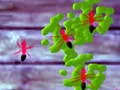 Jwèt Smash Ants sou entènèt