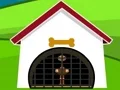 Jwèt Ostrich Rescue sou entènèt