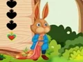 Jwèt Squirrel Escape sou entènèt