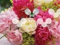 Jwèt Pretty Blossom Wallpaper Escape sou entènèt