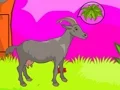 Jwèt Wolf Escape sou entènèt