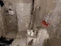 Jwèt Occupied sou entènèt
