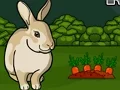 Jwèt Rescue The Grey Rabbit sou entènèt