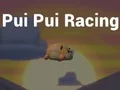 Jwèt Pui Pui Racing sou entènèt
