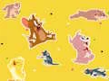 Jwèt The Tom and Jerry Show Find it! sou entènèt