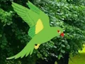 Jwèt Parrot Find The Nest sou entènèt