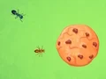 Jwèt Ant vs Cookie sou entènèt