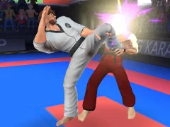 Jwèt Karate Fighter sou entènèt