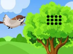 Jwèt Sparrow Meets Crow Buddies sou entènèt