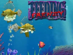 Jwèt Feeding Frenzy sou entènèt