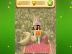 Jwèt Farm Cat Memory Match sou entènèt