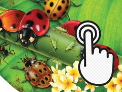 Jwèt Ladybug Clicker sou entènèt