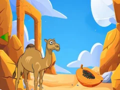 Jwèt Camel Looking For Her Young sou entènèt