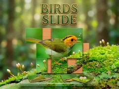 Jwèt Birds Slide sou entènèt