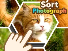 Jwèt Sort Photograph sou entènèt