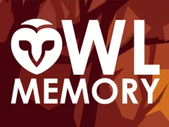 Jwèt Owl Memory sou entènèt