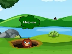 Jwèt Help Injured Bird Fallen Down sou entènèt