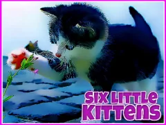Jwèt Six Little Kittens sou entènèt