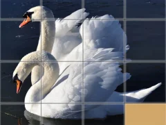 Jwèt Animals Slide Puzzle sou entènèt