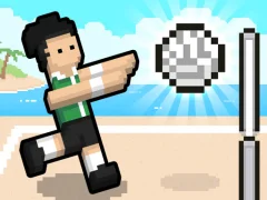 Jwèt Volley Random sou entènèt