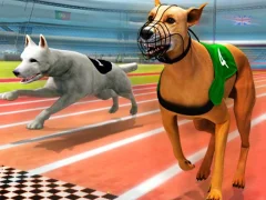 Jwèt Dogs 3D Races sou entènèt