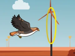Jwèt Flying bird sou entènèt