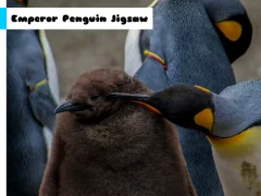 Jwèt Emperor Penguin Jigsaw sou entènèt