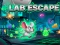 Jwèt Lab Escape sou entènèt
