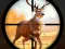 Jwèt Wild Hunting Clash sou entènèt